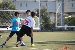 shochu-13