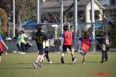 shochu-19