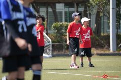 shochu-243