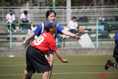shochu-266
