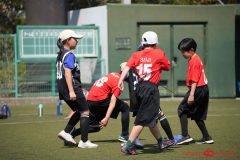 shochu-278