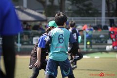 shochu-333