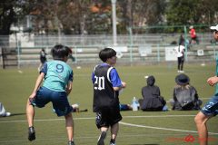 shochu-382
