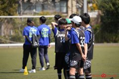 shochu-384