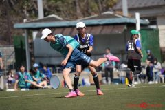 shochu-391