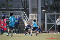 shochu-422