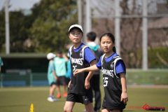 shochu-432