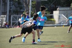 shochu-451