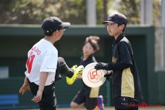 shochu-461