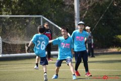 shochu-470