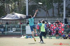 shochu-516