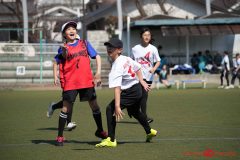 shochu-568