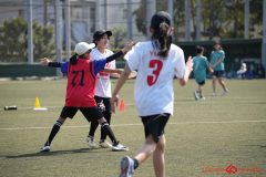 shochu-594