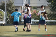 shochu-6