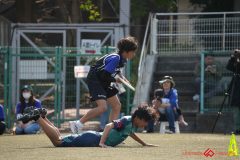 shochu-661