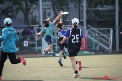 shochu-691