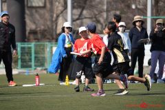 shochu-723