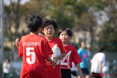 shochu-734