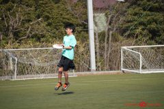 shochu-768