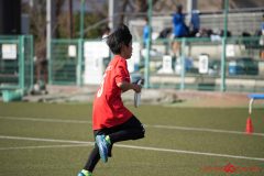 shochu-774