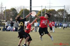 shochu-782