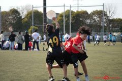 shochu-784