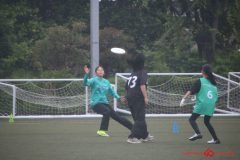 rookies0531-250