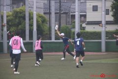 rookies0531-240