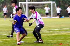 2025wakaba-292