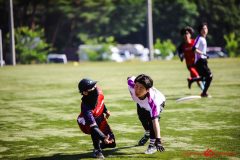 2025wakaba-505