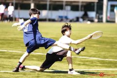 2025wakaba-513