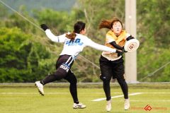 2025wakaba-831