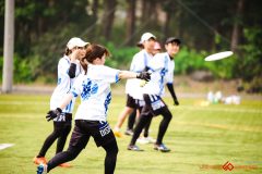 2025wakaba-841