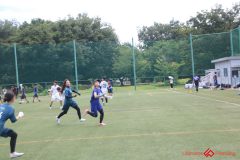 Rookeis0802-100