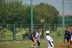 Rookeis0802-106
