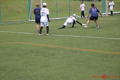 Rookeis0802-110