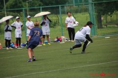Rookeis0802-131