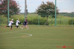 Rookeis0802-141