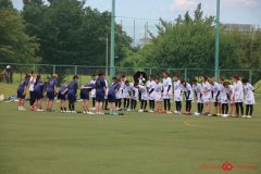 Rookeis0802-144