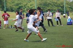 Rookeis0802-148