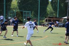 Rookeis0802-172