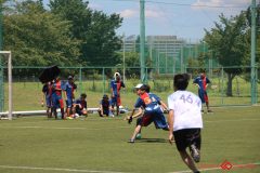 Rookeis0802-176