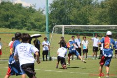 Rookeis0802-177
