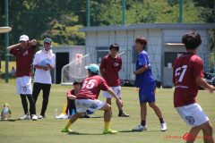 Rookeis0802-185