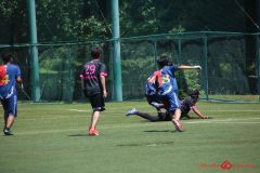 Rookeis0802-207