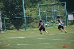 Rookeis0802-208