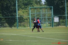 Rookeis0802-209