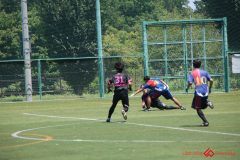 Rookeis0802-210