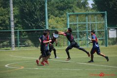 Rookeis0802-212