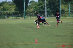Rookeis0802-213